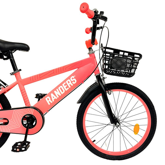 Bicicleta Randers Rodado 20 con parrilla y canasto