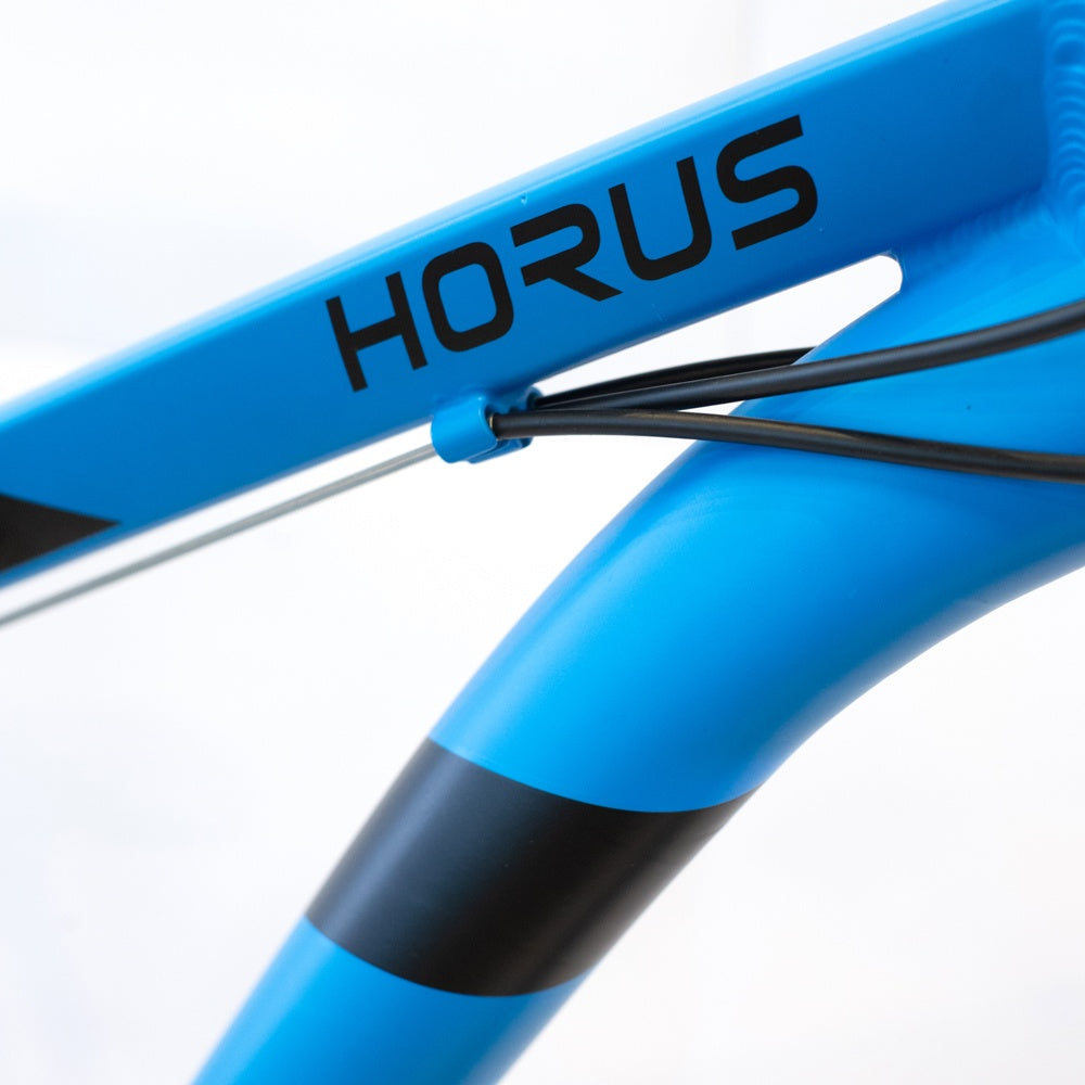 Bicicleta Randers montaña 21V R29 azul con negro M