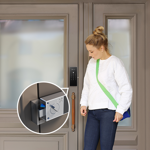 Cerradura inteligente Ezviz CS-DL03 gris