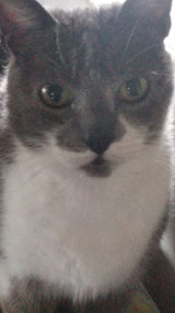 Tito